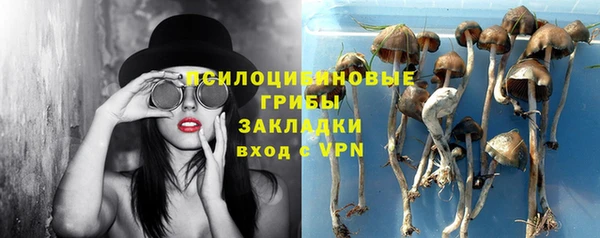гидропоника Абаза